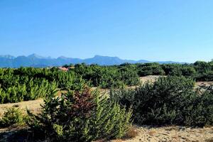 Italia Nostra Versilia sul Master Plan regione Toscana contro l'erosione delle coste