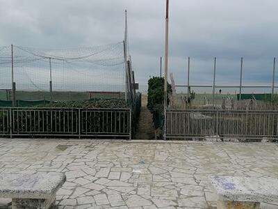 Italia Nostra Versilia: Appello al sindaco di Viareggio per la nuova piazza Zara