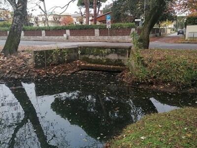 Problemi di deflusso delle acque nella Pineta di Ponente di Viareggio: la segnalazione di Italia Nostra Versilia