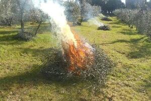 Seravezza: Proroga periodo a rischio incendi