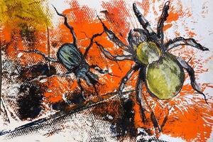 Pietrasanta: alle Grasce &quot;Breaking the Saying&quot; di Narda Zapata