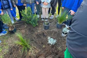 Seravezza: i bambini della scuola di Ripa presenti alla piantumazione di nuove specie arboree in paese