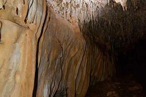 Due mostre una a Cardoso e l’altra a Pietrasanta per esporre materiale archeologico di epoca neandertaliana