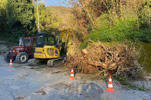 Consorzio di Bonifica 1 Toscana Nord: Intervento in località Strettoia a Pietrasanta. Rimossi 15 alberi caduti in alveo