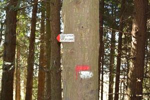 Parco e CAI rinnovano l'impegno per la sicurezza dei sentieri e il recupero della Linea Gotica
