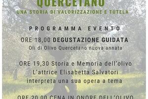 Slow Food &quot;Terre Medicee e Apuane&quot;: Vent&#039;anni di olivo Quercetano
