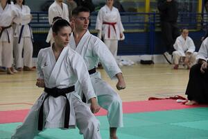 Successo a Viareggio per la prima "Kappuru Cup": il karate della Junkan Dojo punta a diventare un appuntamento fisso