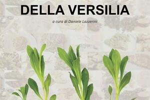 Al Caffè della Versiliana gli "Erbi spontanei della Versilia": due libri tra natura, tradizione e solidarietà per i bambini dell'Ospedale del Cuore, domenica 12 luglio