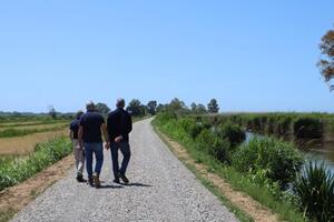 Lago di Massaciuccoli: chiuso il cantiere da 1,5 milioni: rialzati e rafforzati gli argini