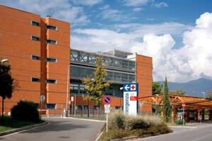 Sicurezza in mare e cure in Pronto soccorso: l'ospedale Versilia coordina il nuovo studio multicentrico "DrownInEd"