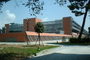 Ospedale Versilia, il ringraziamento dei pazienti alla Chirurgia: «Professionalità, sorriso e robotica all'avanguardia»