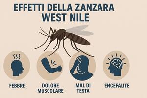 Maria Teresa Baldini, consigliere del Consorzio di Bonifica 1 Toscana Nord: &quot;Continuano a crescere i casi di West Nile in Toscana. La prevenzione hai i suoi tempi, non possiamo rimandare&quot;