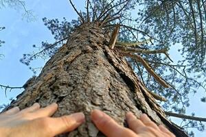 Evento “Essenza” 7-8 marzo promosso dall’ Associazione Riaccendi il Sorriso in collaborazione ed il patrocinio del Comune di Camaiore
