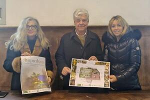 Pietrasanta: il Centro Arti Visive accoglie "L'Agrumeta" 2026