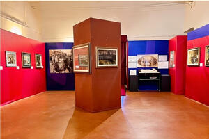 Mostra di Catarsini a Seravezza: visite guidate gratuite e presentazione del libro inedito dell'artista-scrittore