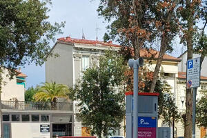 Italia Nostra Versilia: "Emergenza verde a Viareggio in piazza Piave"