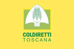 Vino: Coldiretti Toscana, al via raccolta delle uve per bollicine Made in Tuscany
