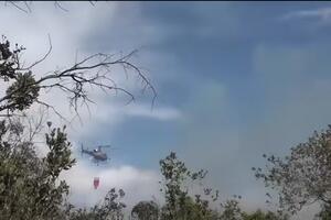 Bruciata la pineta di Levante tra Viareggio e Torre del Lago: sei incendi causati da piromani