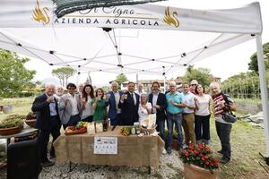 Ufficialmente riconosciuto il Distretto Rurale e del Cibo della Versilia