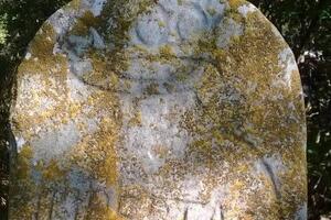 Il Gruppo Archeologico Camaiore esprime solidarietà alle persone che hanno subito danni alle auto in occasione della manifestazione a tutela delle Alpi Apuane del 7 giugno