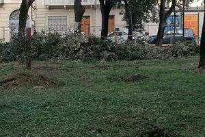 Italia Nostra Versilia: "Piazza Piave, variante al progetto iniziale di rifacimento"