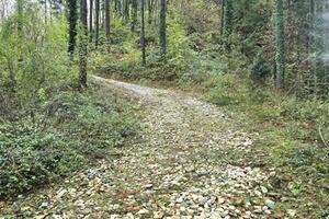 Aggiudicati i lavori di costruzione del collegamento Farnocchia-Sant’Anna Primo lotto da 1 milione e 600mila euro ad una ditta Lucchese