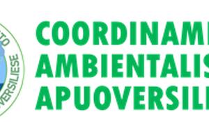 Seravezza: Coordinamento Ambientalista Apuoversiliese all’attacco per avere i dati dell’escavazione del marmo