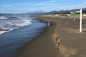 Paladini Apuoversiliesi: "Sul Master Plan della costa 2026 la costa Apuoversiliese un sorvegliato speciale. Il valore ambientale ed economico della spiaggia e l’eventuale ampliamento del porto di Carrara"