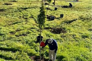 Consorzio di Bonifica Toscana Nord: ventisei Comuni coinvolti e 2.373 essenze da piantare. Nuovo record per il progetto &quot;Un albero per ogni nuovo bimbo o bimba&quot;