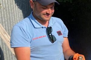 Salvato a Forte dei Marmi un giovane rapace della specie gheppio