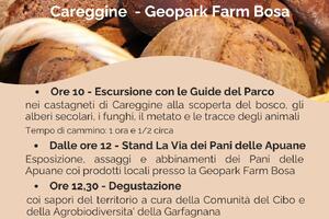 La Via dei Pani delle Apuane: a Careggine il pane diventa viaggio nella memoria della Garfagnana