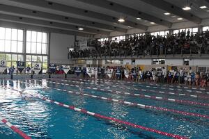 Massarosa Nuoto chiede un tavolo con Aquasport: "Pronti a collaborare"