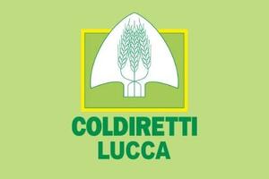 Pesca: Coldiretti Lucca, pescatori a Bruxelles per chiedere cambio rotta. Altre 10 barche marineria viareggina verso demolizione