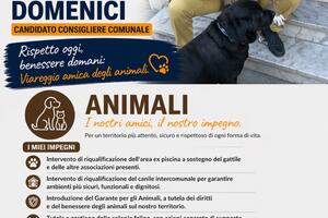 Viareggio più attenta agli animali: le proposte di Mauro Domenici per rafforzare tutela e servizi