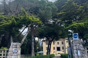 Le dune raccontano: a Forte dei Marmi un pomeriggio tra natura, arte e memoria del territorio, sabato 23 maggio alla "Casa al Mare" di Casalmaggiore
