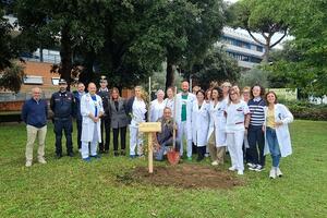 All’ospedale Versilia “Un albero per la salute” grazie a Fadoi e ai Carabinieri Raggruppamento Biodiversità
