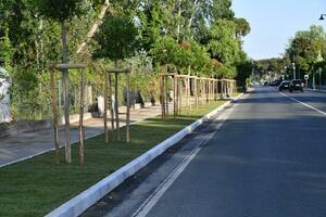 Forte dei Marmi. lavori di ripristino su un tratto di fognatura bianca e pavimentazione stradale: chiusura della corsia sud-nord di via G.B. Vico il 13 e 14 novembre