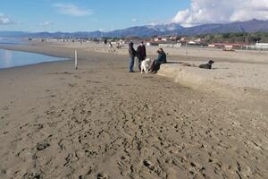 Marina di Pietrasanta e il fenomeno erosivo, avvisaglie o altro? Secondo i Paladini Apuoversiliesi bisogna studiare