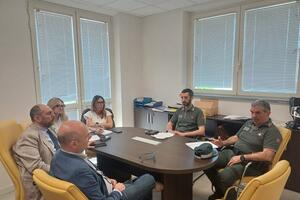 Cinghiali sul territorio comunale di Forte dei Marmi: riunione operativa al Comando di Polizia Locale