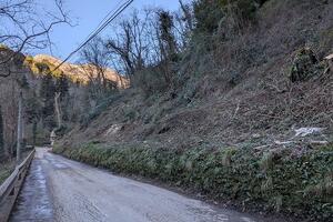 Stazzema: strade più sicure e con meno rischi di interruzioni, è il risultato dei controlli e delle ordinanze di taglio piante della polizia locale