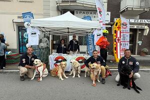 &quot;Associamo il Forte 2025&quot;: una domenica di partecipazione e condivisione per Forte dei Marmi