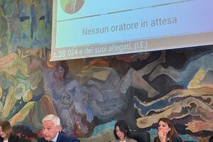 Viareggio, il Consiglio comunale approva il bilancio consuntivo