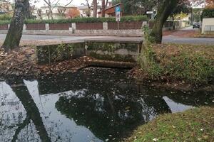 Problemi di deflusso delle acque nella Pineta di Ponente di Viareggio: la segnalazione di Italia Nostra Versilia