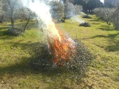 Seravezza: scatta il periodo a rischio di incendi boschivi, la Regione ne anticipa l'inizio al 13 giugno