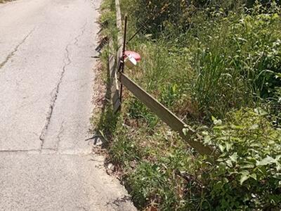 Nicola Morelli, consigliere comunale capogruppo Lega Massarosa evidenzia l'abbandono del territorio collinare