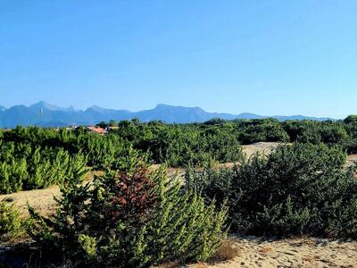 Italia Nostra Versilia sul Master Plan regione Toscana contro l'erosione delle coste
