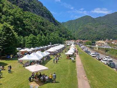 Seravezza: il centro storico nel week end di Enolia. Le iniziative in programma sabato e domenica