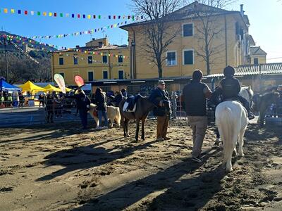 ​Cresce la fiera di San Biagio a Pietrasanta