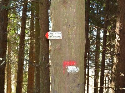 Parco e CAI rinnovano l'impegno per la sicurezza dei sentieri e il recupero della Linea Gotica