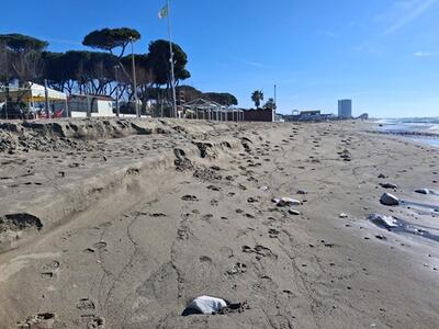 Dialogo del territorio con gli amministratori Apuoversiliesi su erosione fra PRP di Marina di Carrara e cambiamento climatico, 18 aprile Villa Bertelli, Forte dei Marmi